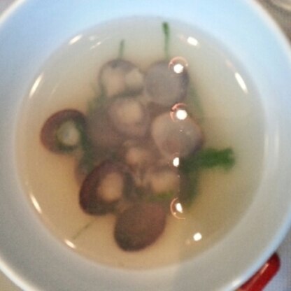 しじみの中華スープは初めてでしたが美味しかったです(^∀^)ﾉしじみのエキスたっぷりで体にもいかですね♪
ごちそうさまでした☆